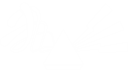 CHAOS PRISM